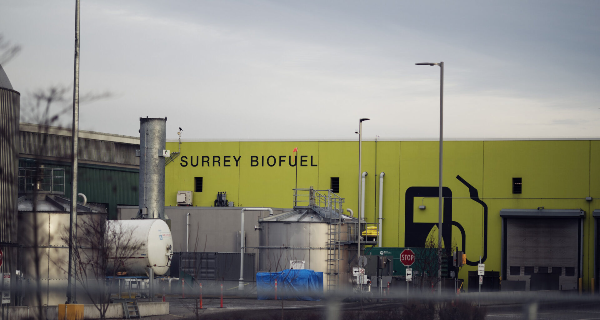 Previously unknown microbe turns food waste into energy