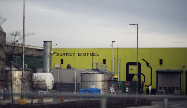 Previously unknown microbe turns food waste into energy