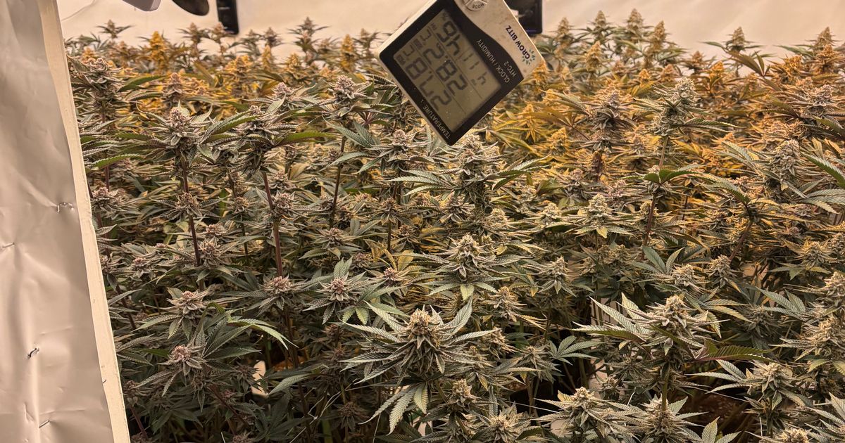 Manchester Evening News