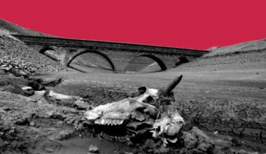 Manchester Evening News