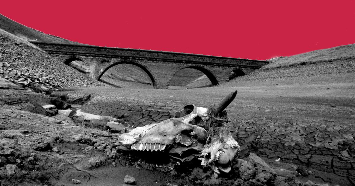 Manchester Evening News