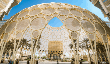 Here are the 16 Founders Who Will Be Competing in 'The Final Pitch - Dubai' This November