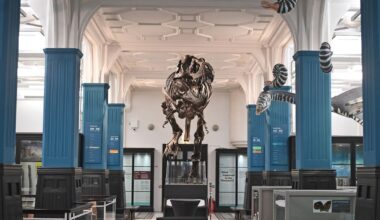 Manchester Evening News