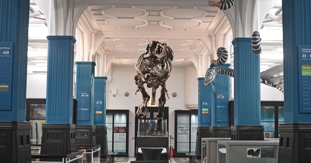 Manchester Evening News