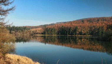 Manchester Evening News