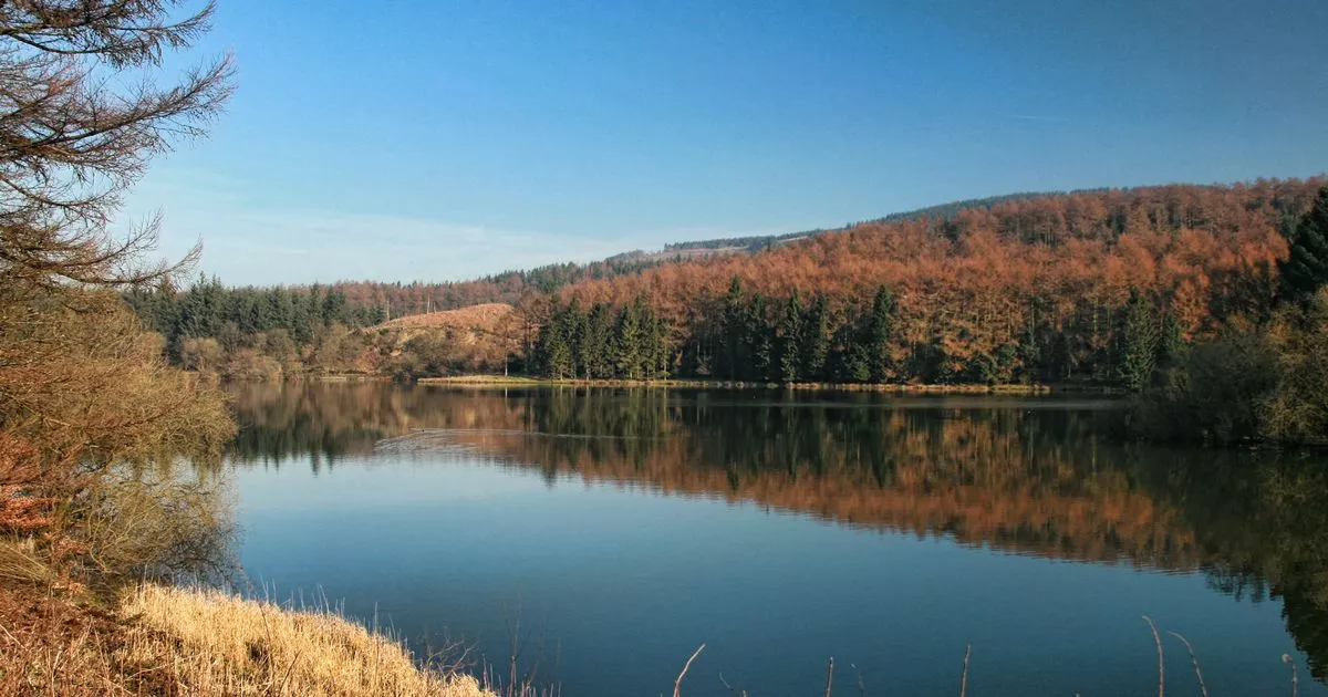 Manchester Evening News