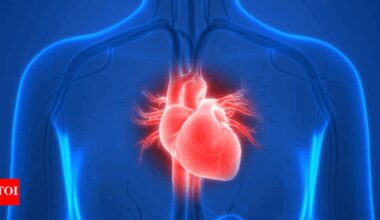 Heart health: Expert explains why plaques form in arteries and how to reverse the damage