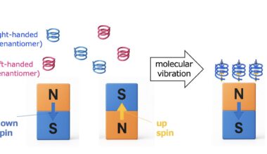 Chiral molecules adhere to magnets