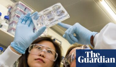 ‘Patients will suffer’: tales from the frontline of the UK pharma crisis | Pharmaceuticals industry