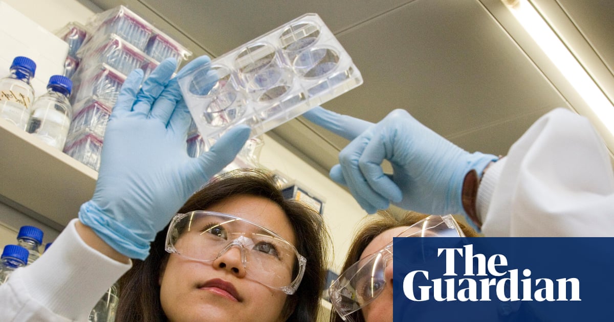 ‘Patients will suffer’: tales from the frontline of the UK pharma crisis | Pharmaceuticals industry