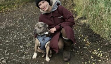 NI council spends over £50k in Max the dog case