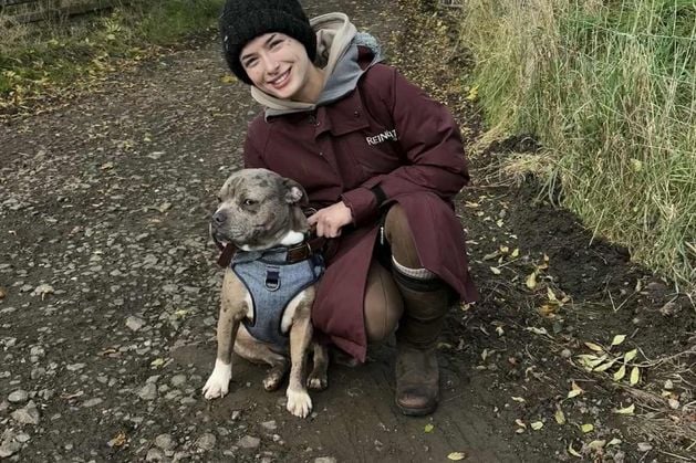 NI council spends over £50k in Max the dog case