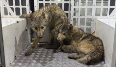 Manchester Evening News