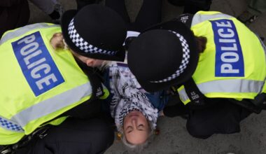 Police arrest almost 500 people over Palestine Action support