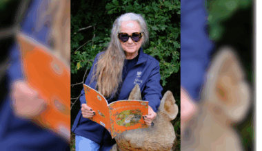 Brambly Hedge Trail brings storybook magic to Epping Forest