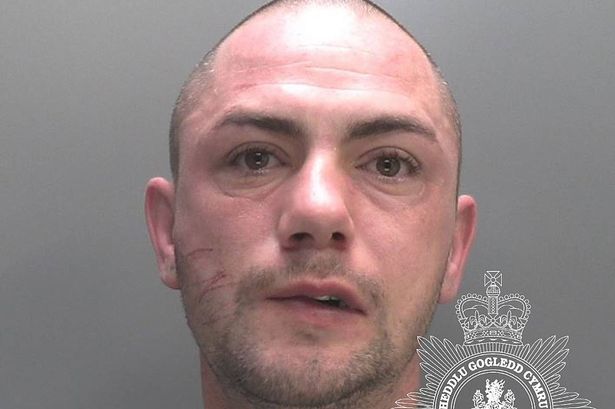 Matthew Williams, 31, of Cae Mawr, Penrhyndeudraeth, Gwynedd, was sentenced to two years imprisonment at Llandudno Magistrates for spitting at police
