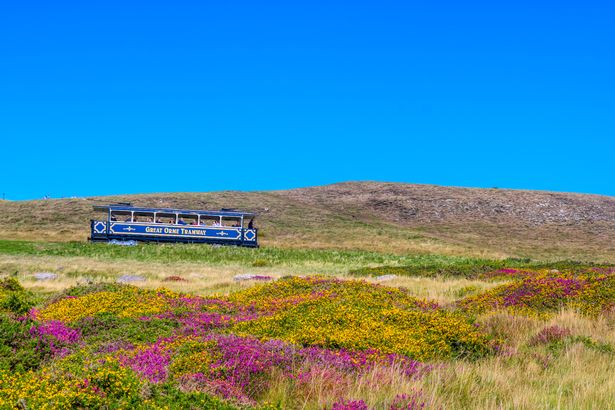One of the best things to do here is to take a historic tram trip up the Great Orme.
