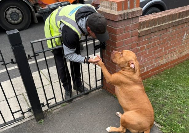Peter from Sefton Council's cleansing team and his friend Kobe the dog