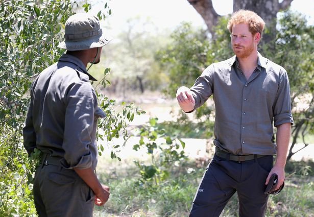 The duke is seen at a wildlife college during a royal tour of various African countries