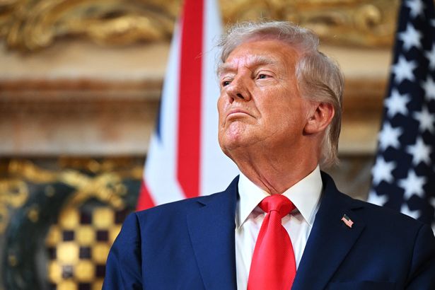 Trump at a press conference