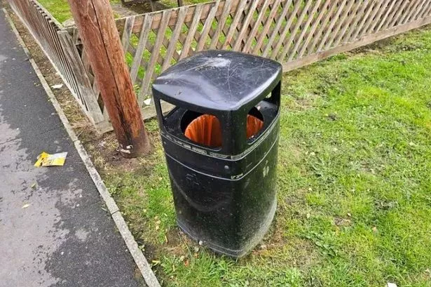 bin