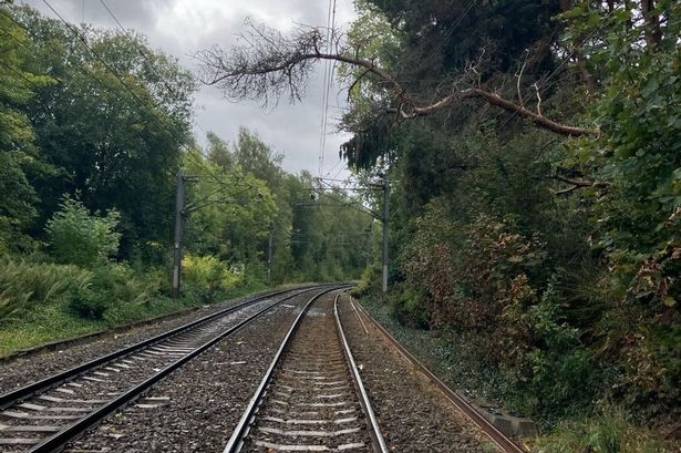 A tree is leaning on overhead lines near University causing services to be suspended