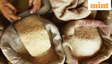 India eases rice export norms to tap non-EU European markets