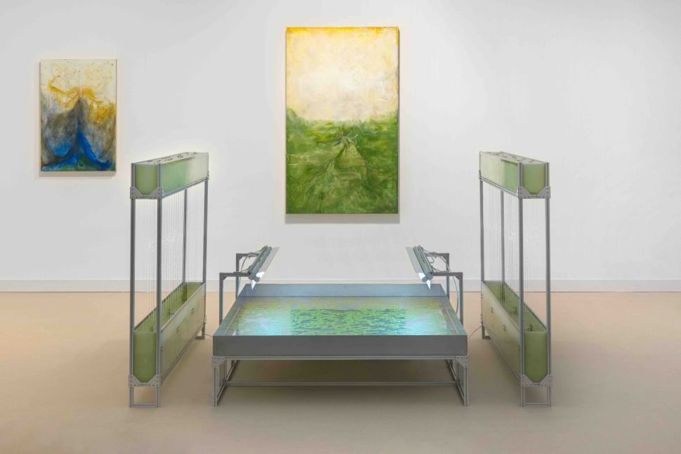 Installation view of Xin Liu’s lab-like ecosystem with a large steel tank filled with duckweed at the center, flanked by two vertical structures dripping liquid, and atmospheric green-toned paintings on the wall behind.