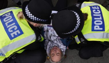 Police arrest more than 440 people over Palestine Action support
