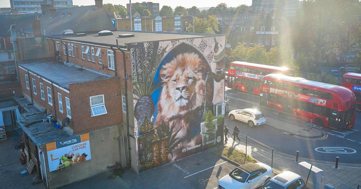 Mural unveiled in Tottenham ahead of Africa Cup of Nations