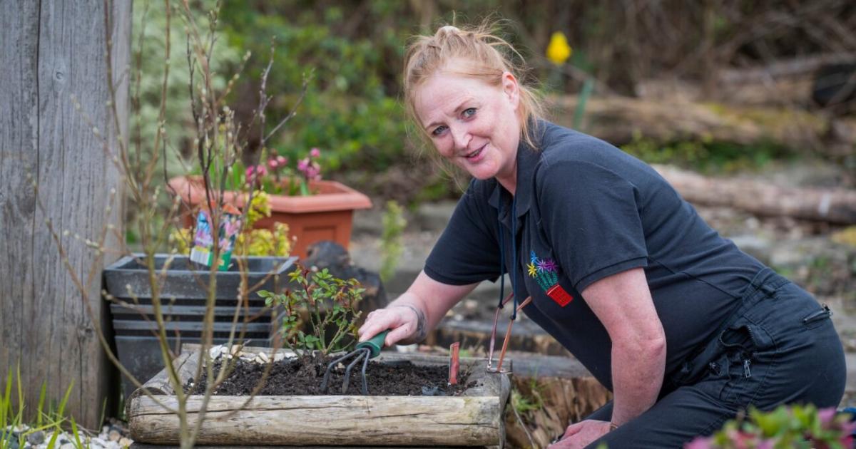 World Mental Health Day: Michelle Markey on Belville garden