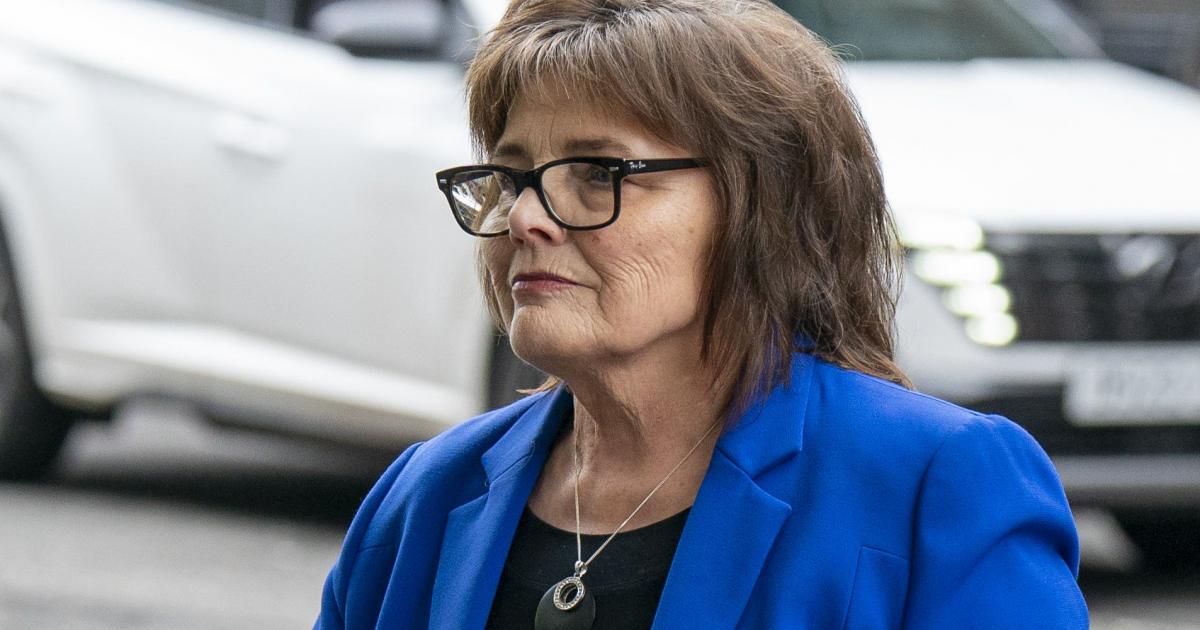 Freeman tells inquiry Government was ‘naive’ in hospital oversight
