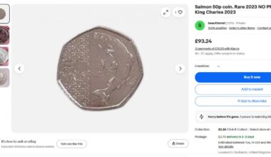 eBay: extremely rare King Charles 50p for sale in Droitwich