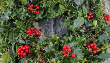Newhailes at Musselburgh to hold festive wreath making event