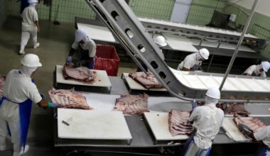 Brazil’s beef exports to China surge as Trump’s tariffs shift global demand | International Trade News