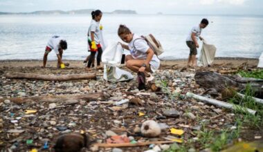 Commentary: Plastic pollution isn’t just trash – it’s alive with microbes that threaten our health