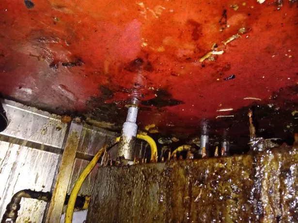Rat droppings and other objects found during food hygiene inspection at Star Noodle takeaway November 2024