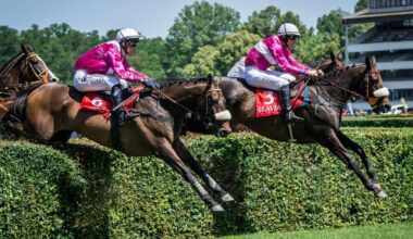 Why the Great Pardubice Steeplechase is one of Czechia's most enduring events