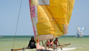 Madagascar’s political and environmental crisis: Could restoring coral reefs help?