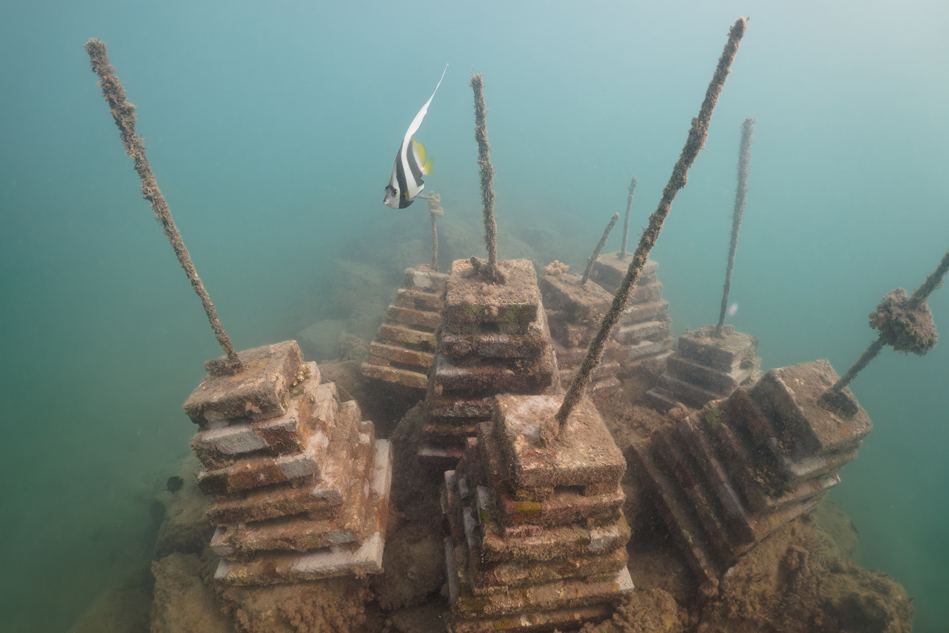 Limestone structures in layers underwater