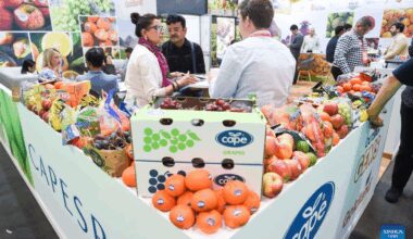 Fruit Attraction held in Madrid, Spain-Xinhua