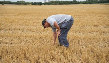 How English farmers cultivate hope amid uncertainty-Xinhua