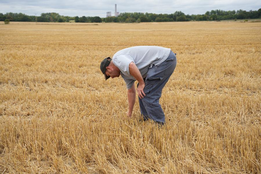 How English farmers cultivate hope amid uncertainty-Xinhua