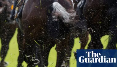 Talking Horses: Alphonse Le Grande hoping to buck the trend in Cesarewitch | Horse racing