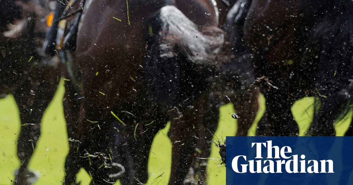 Talking Horses: Alphonse Le Grande hoping to buck the trend in Cesarewitch | Horse racing