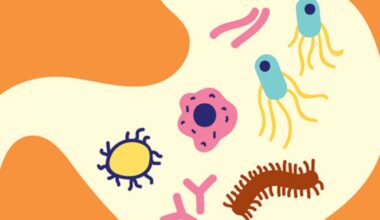 What a gut microbiome scientist wants you to eat every day