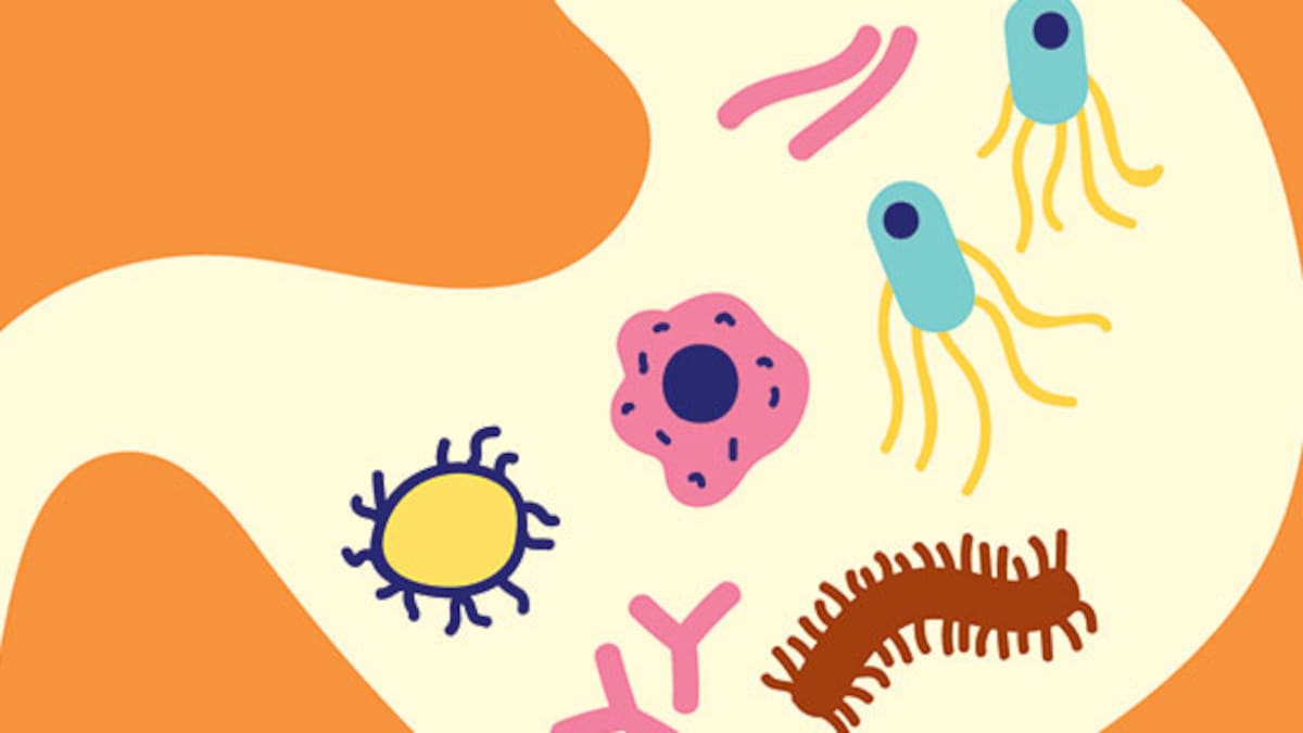 What a gut microbiome scientist wants you to eat every day