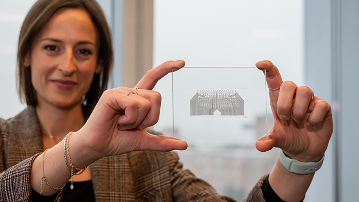 Inside the British bet on a ‘live implant’ cure for Parkinson’s