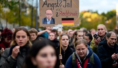 Pressure mounts on Germany to choose whether banning the AfD will save democracy or splinter it