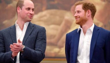 Prince William & Prince Harry Reunion Ahead of Christmas Is a Possibility, Says Source